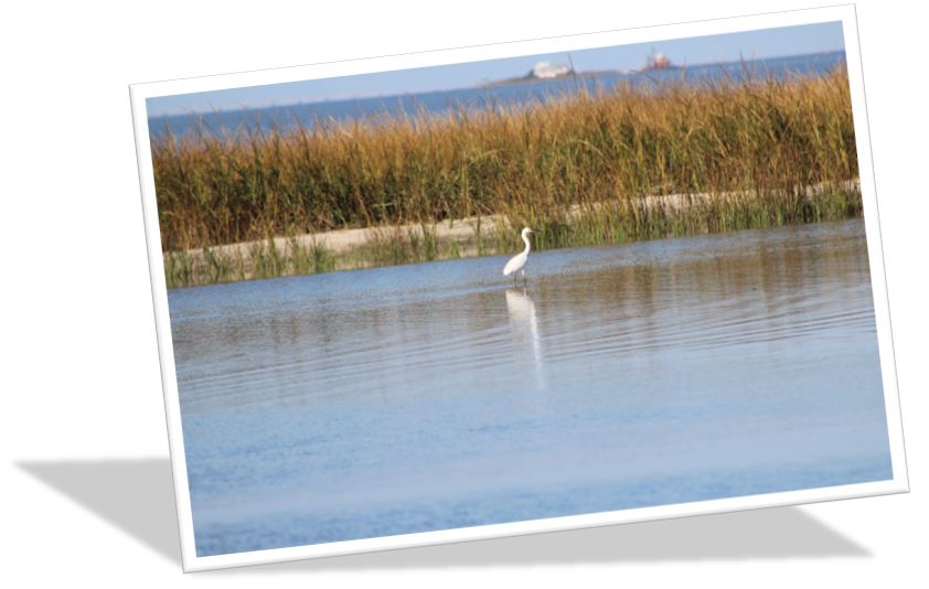 Flood Insurance | Southern Ocean County | LBI | Beach Haven West Flood Insurance